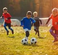双十一晚会,收视榜单揭,江苏卫视夺,PP电子官网,PP电子模拟器,PP电子视讯平台,PP电子游戏,PP电子体育电竞,PP电子棋牌彩票