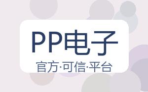 PP电子 配图