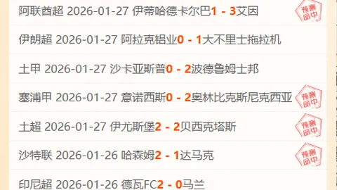 中国冰壶队喜获亚冬会男女双冠